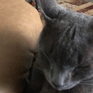 Meet your Posher, Barb